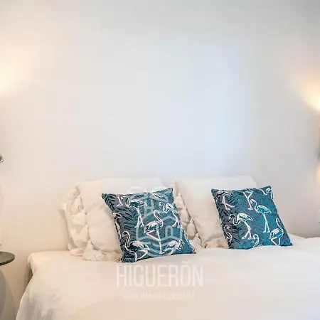Higueronrentals Twin Appartement *